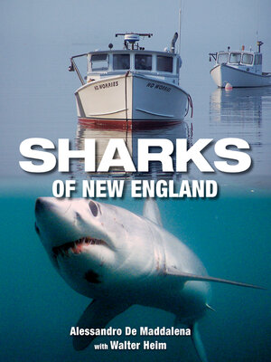 cover image of Sharks of New England